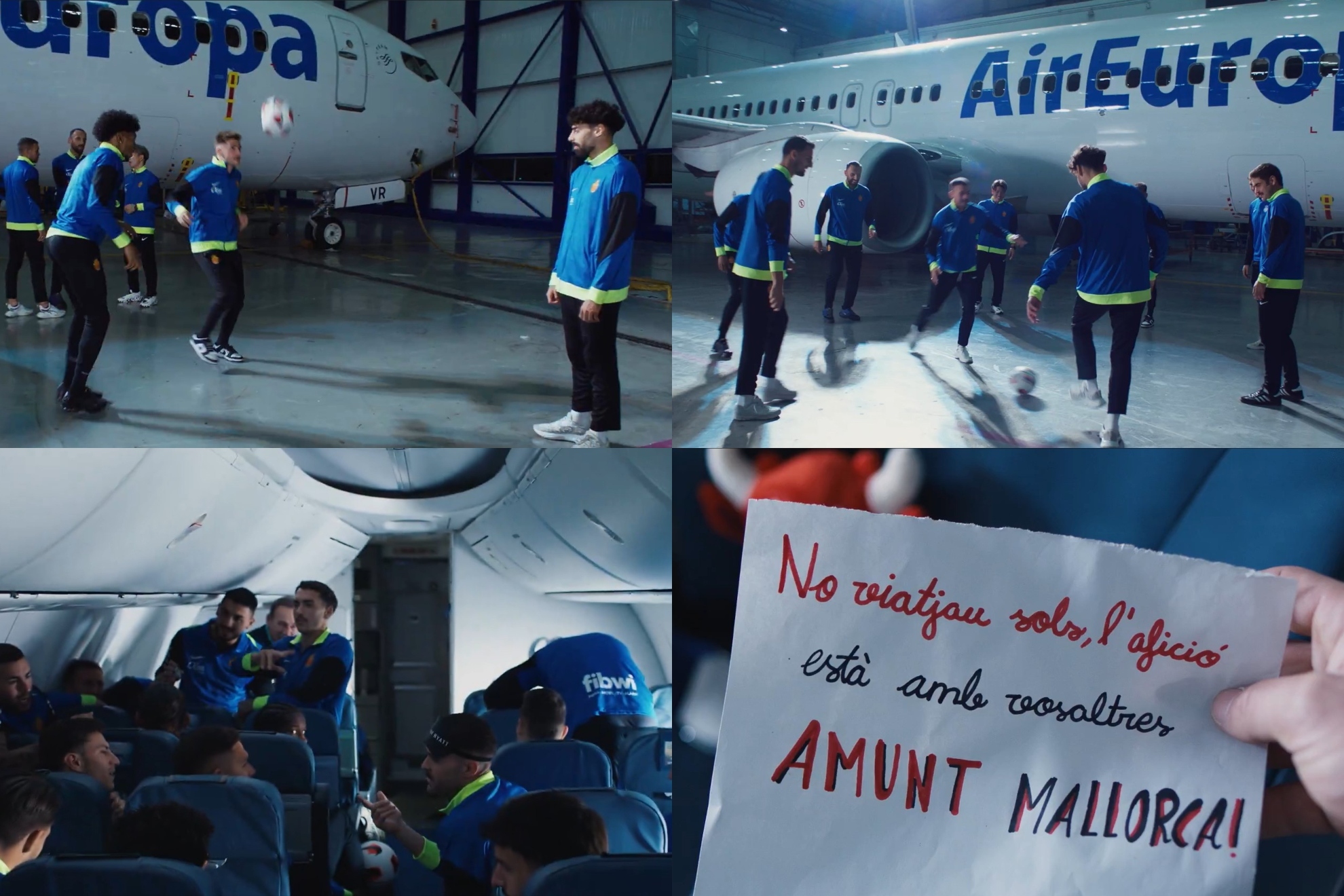 的早期阶段 的早期阶段