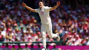 作为教练 作为教练